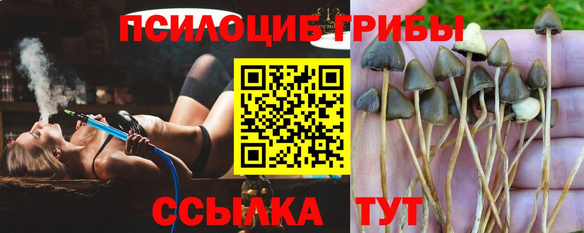 Галлюциногенные грибы GOLDEN TEACHER  Вход с VPN  Энгельс 